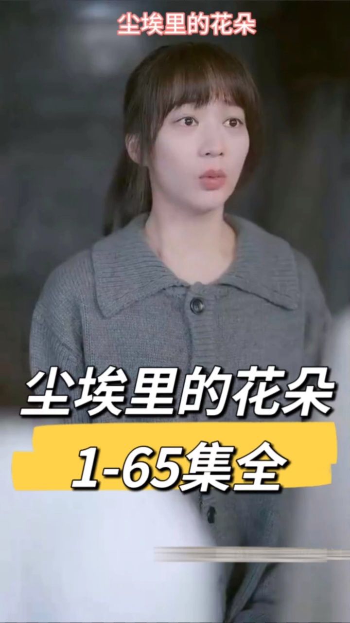 尘埃里的花朵全集