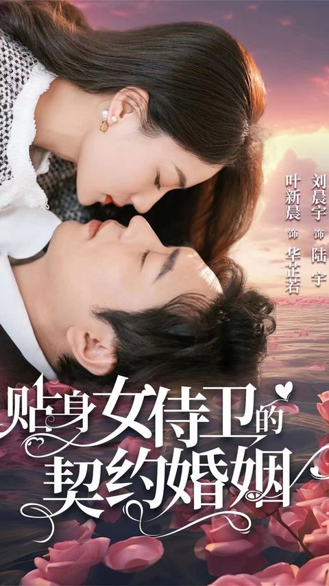 贴身女侍卫的契约婚姻全集