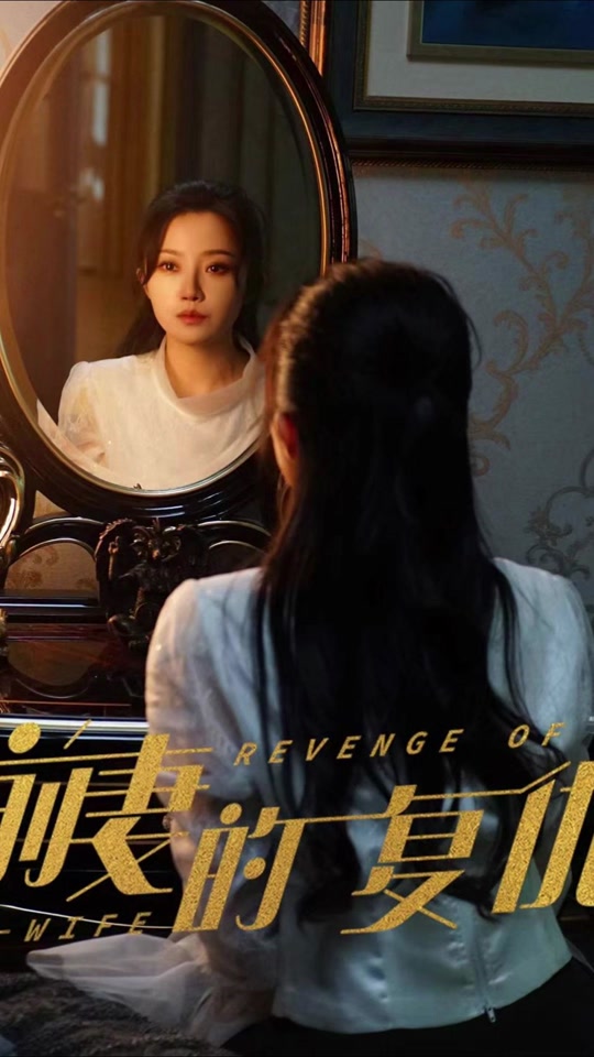 前妻的复仇全集
