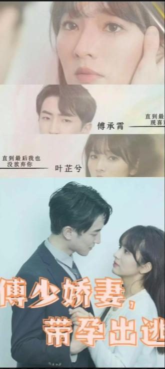傅少娇妻，带孕出逃全集