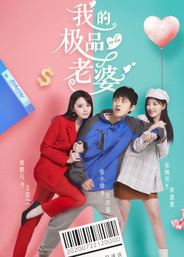 我的极品老婆第一季全集