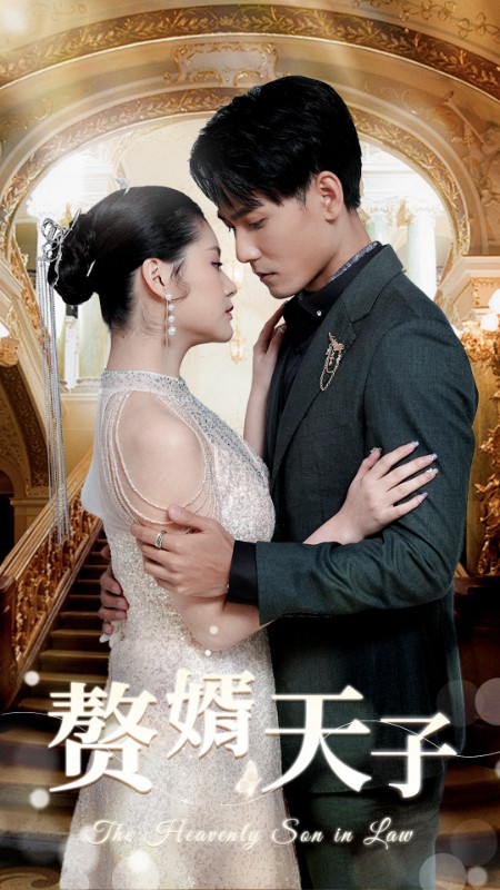 赘婿天子全集