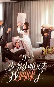 庄少，少爷小姐又去找妈咪了全集