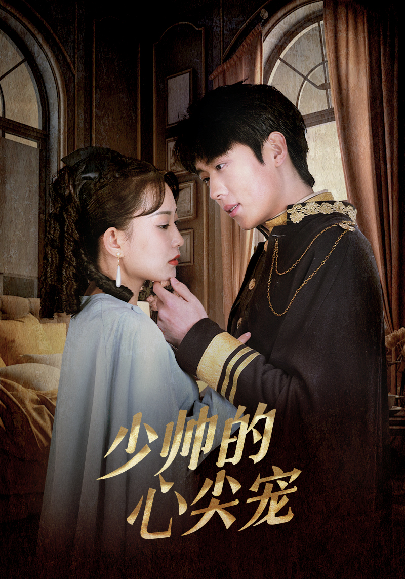 少帅的心尖宠全集