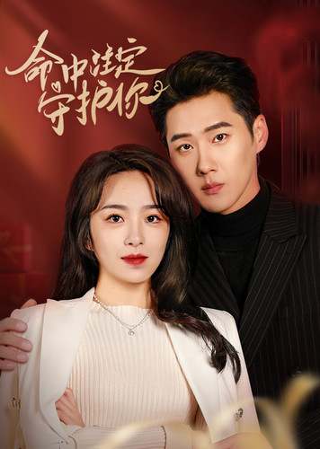 命中注定守护你全集