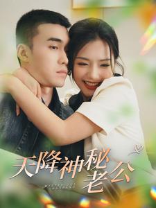 天降神秘老公全集