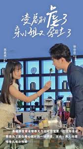 凌总别虐了，桑小姐又孕吐了全集