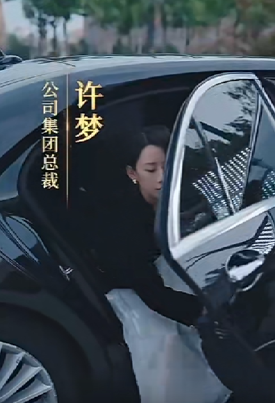 女老板的复仇全集