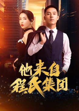 他来自程氏集团全集