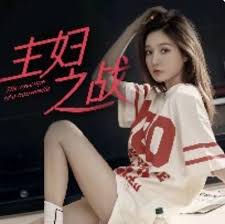 主妇之战全集