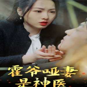 霍爷哑妻是神医全集