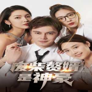 废柴赘婿是神豪全集