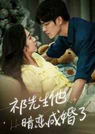 祁教授，借个婚全集