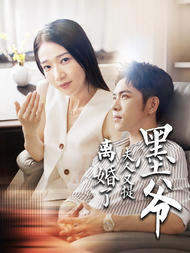 墨爷夫人又提离婚了全集