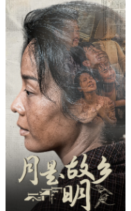 月是故乡明短剧全集