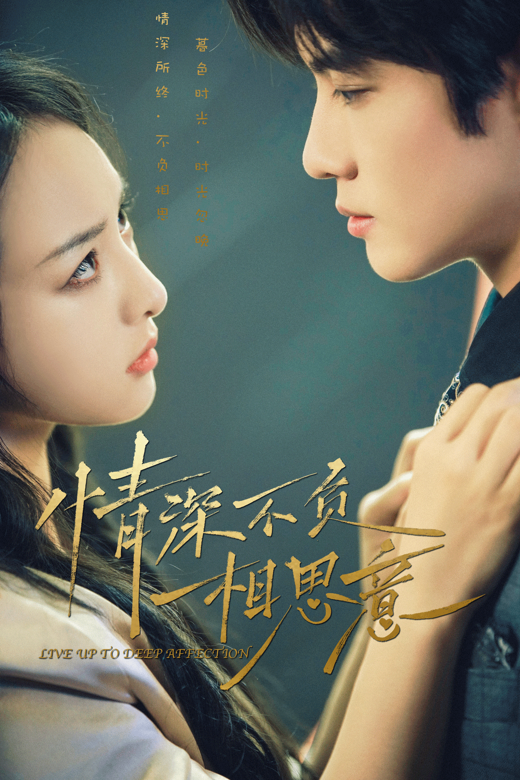 情深不负相思意全集