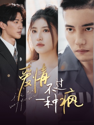 爱情不过一种疯全集