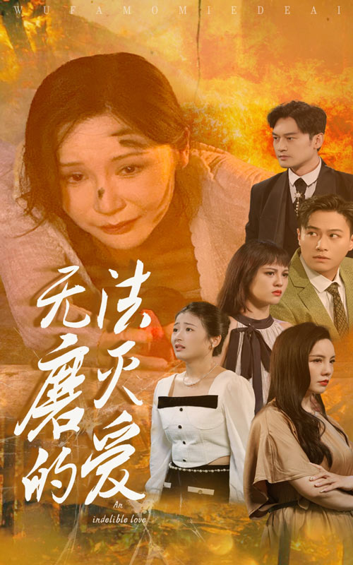 无法磨灭的爱全集