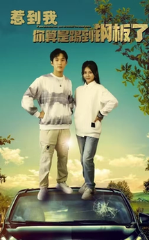 惹到我你算是踢到钢板了全集
