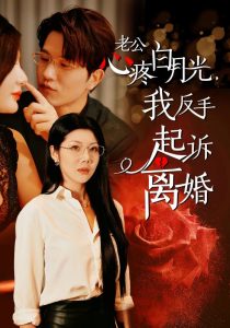 老公疼白月光我反手起诉离全集