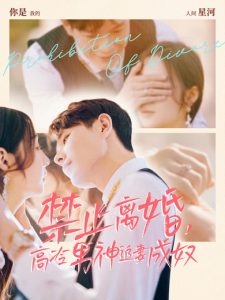 禁止离婚，高冷男神追妻成奴全集