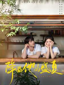 降临他的盛夏全集