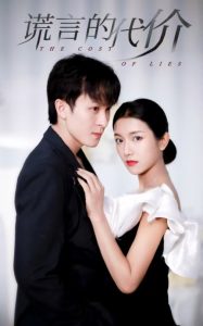 谎言的代价短剧全集