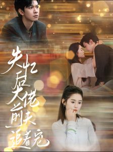 失忆后大佬前夫追着宠全集