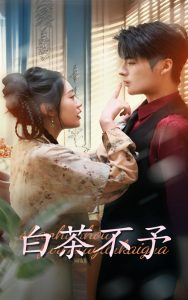 白茶不予全集