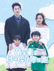 萌宝来袭妈咪你往哪里跑全集