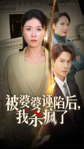 被婆婆诬陷后我杀疯了全集