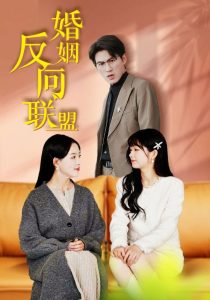 婚姻反向联盟全集