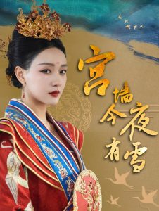 宫墙今夜有雪全集