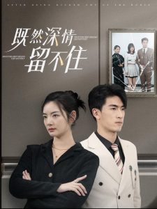 既然深情留不住全集