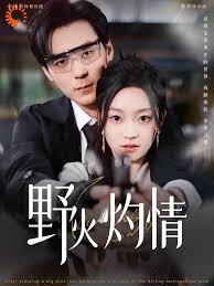 野火灼情全集