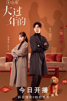 大过年的全集