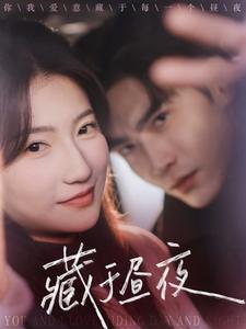 藏于昼夜68集全集