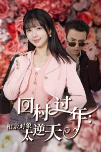 回村过年相亲对象太逆天全集