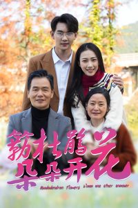 簕杜鹃花朵朵开全集