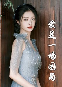 爱是一场困局30集全集