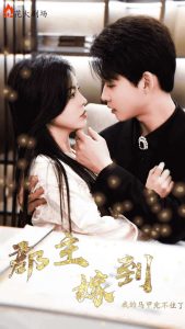 郡主嫁到我的马甲兜不住了全集