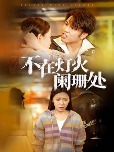 不在灯火阑珊处全集