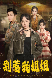 别惹我姐姐全集