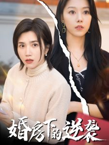 婚房下的逆袭全集