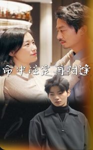 命中注定再相逢全集