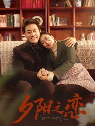 晚风知我意全集