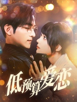 低预算爱恋全集