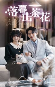 落幕山茶花全集