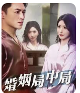 婚姻局中局全集