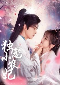 独宠小农妃全集